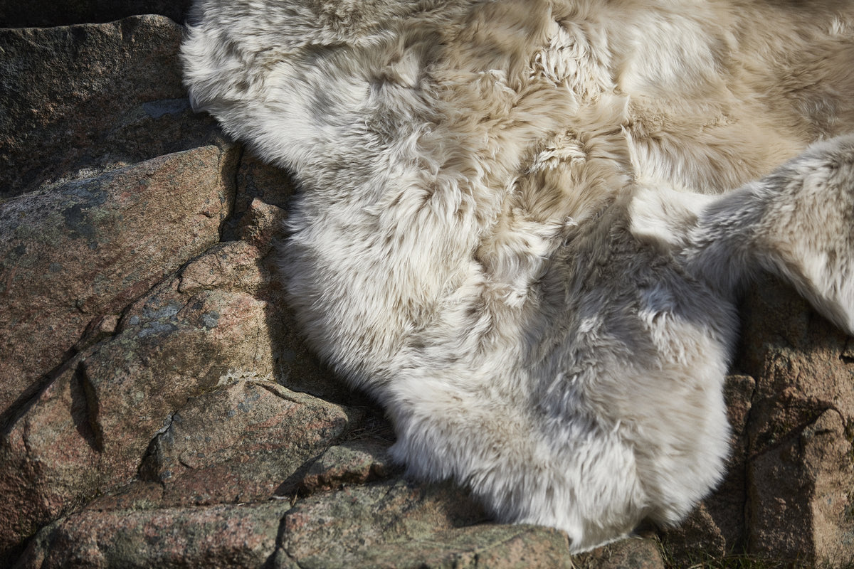 Warm & Comfy – Nordic Living